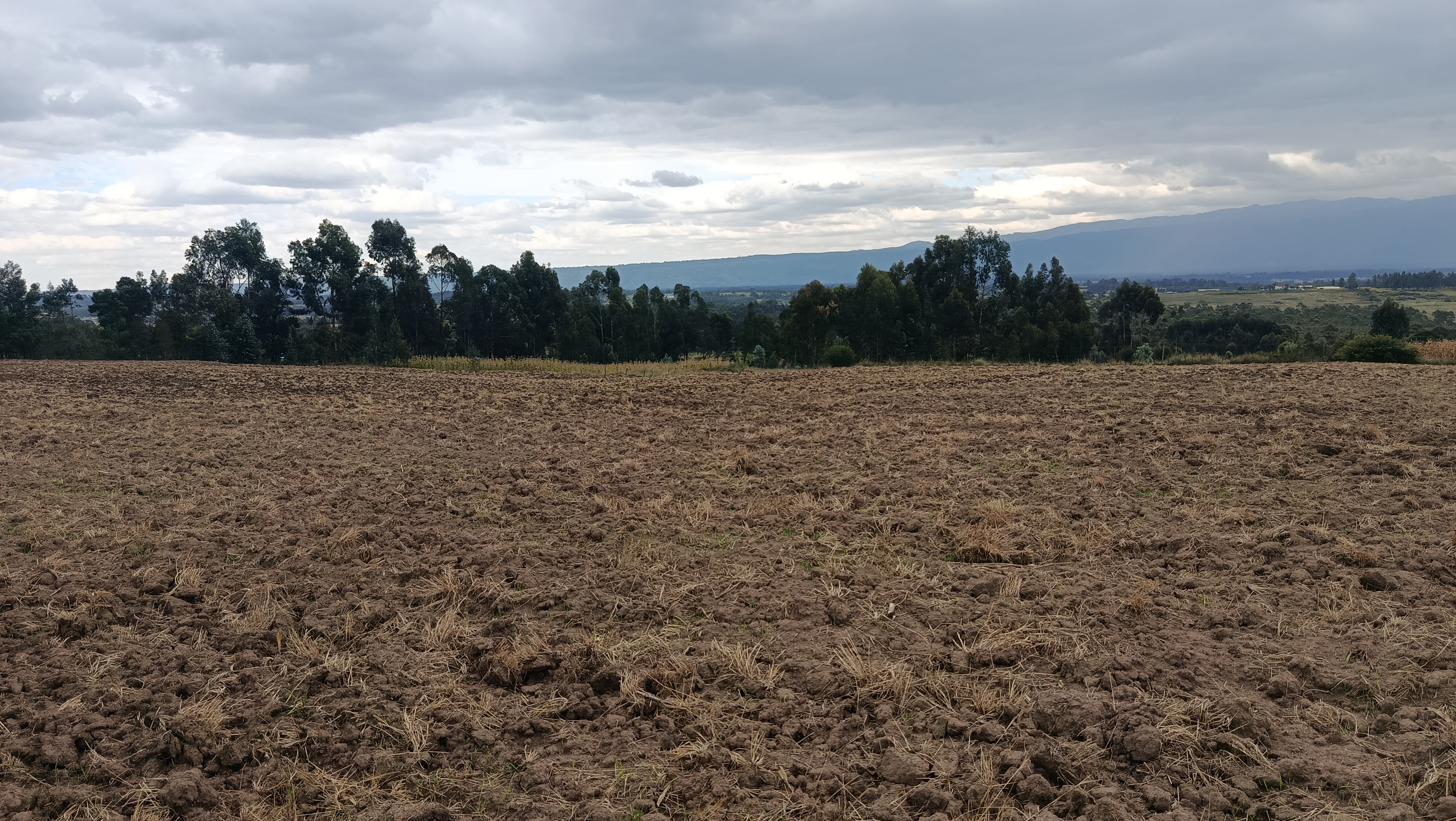 5 acres kwa Mumbi Area