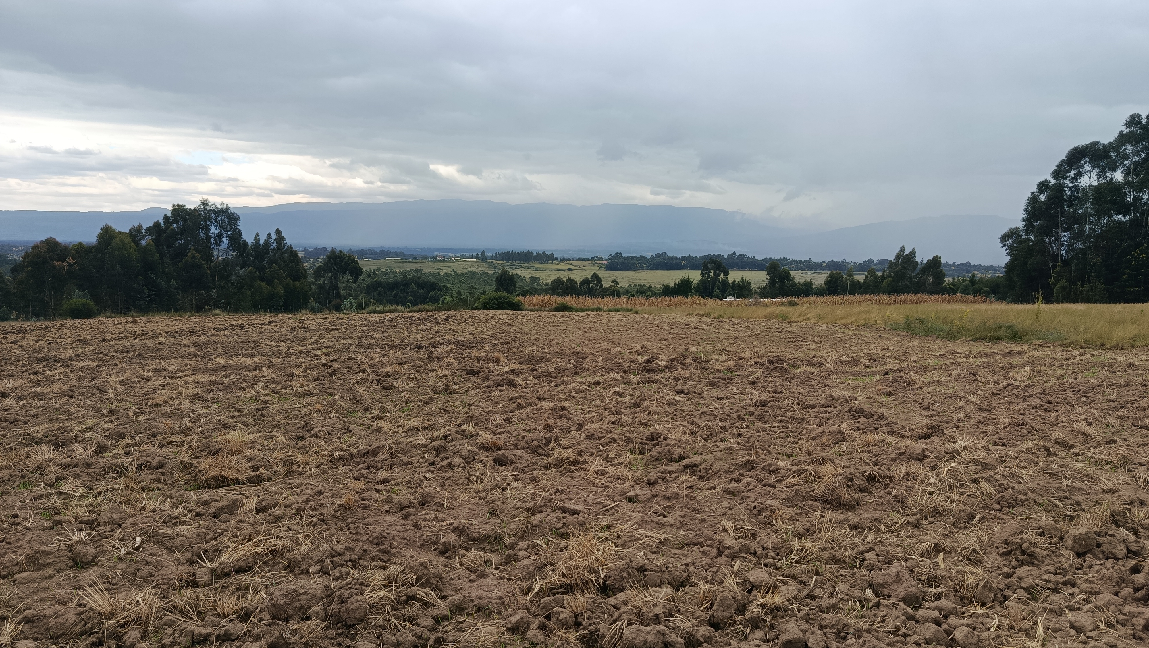 5 acres kwa Mumbi Area