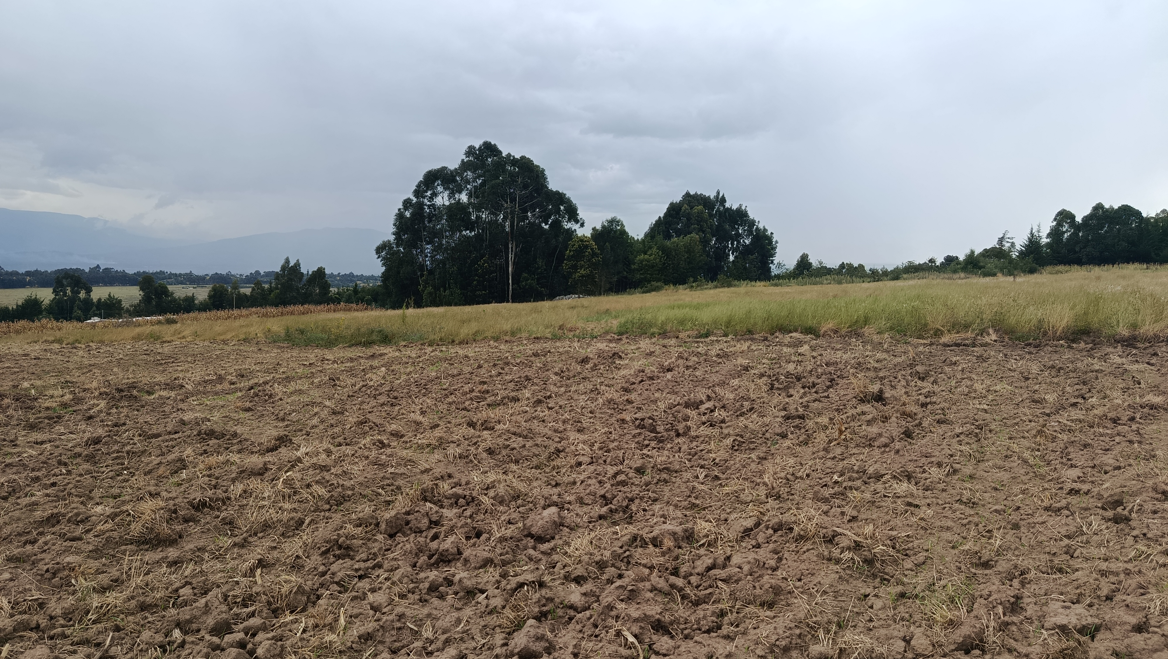 5 acres kwa Mumbi Area