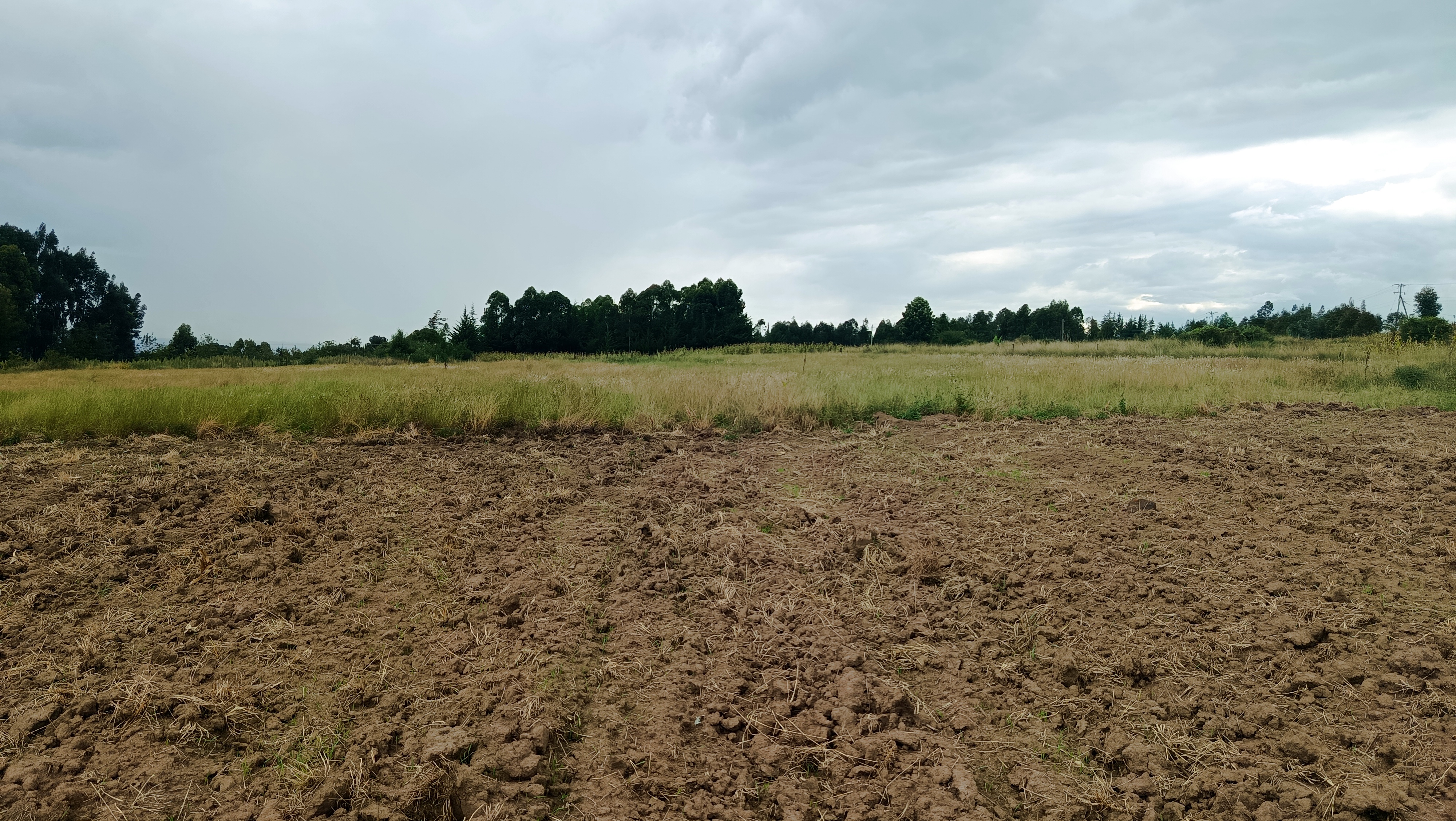 5 acres kwa Mumbi Area
