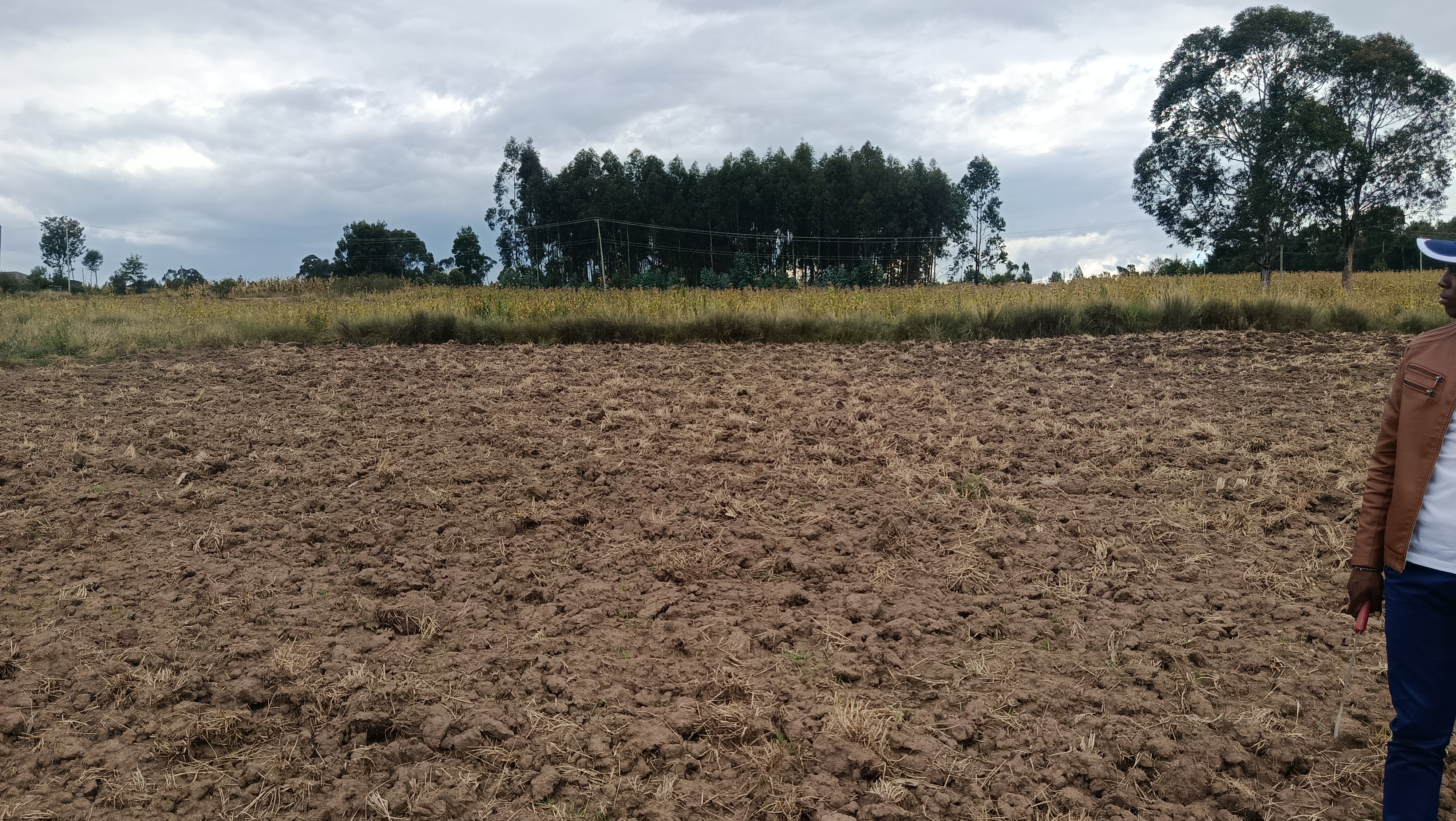 5 acres kwa Mumbi Area