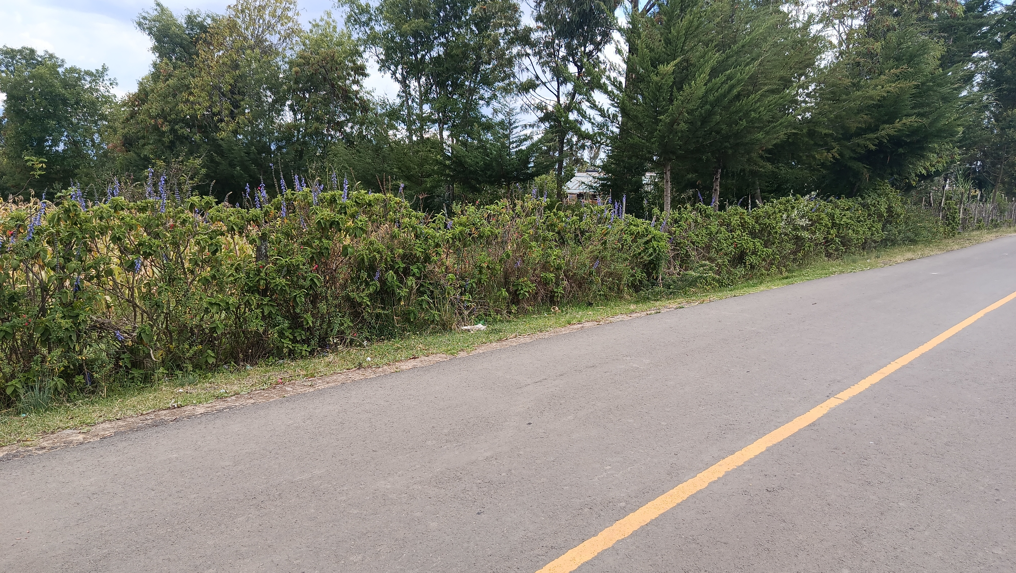 50 by 100 near muiri primary