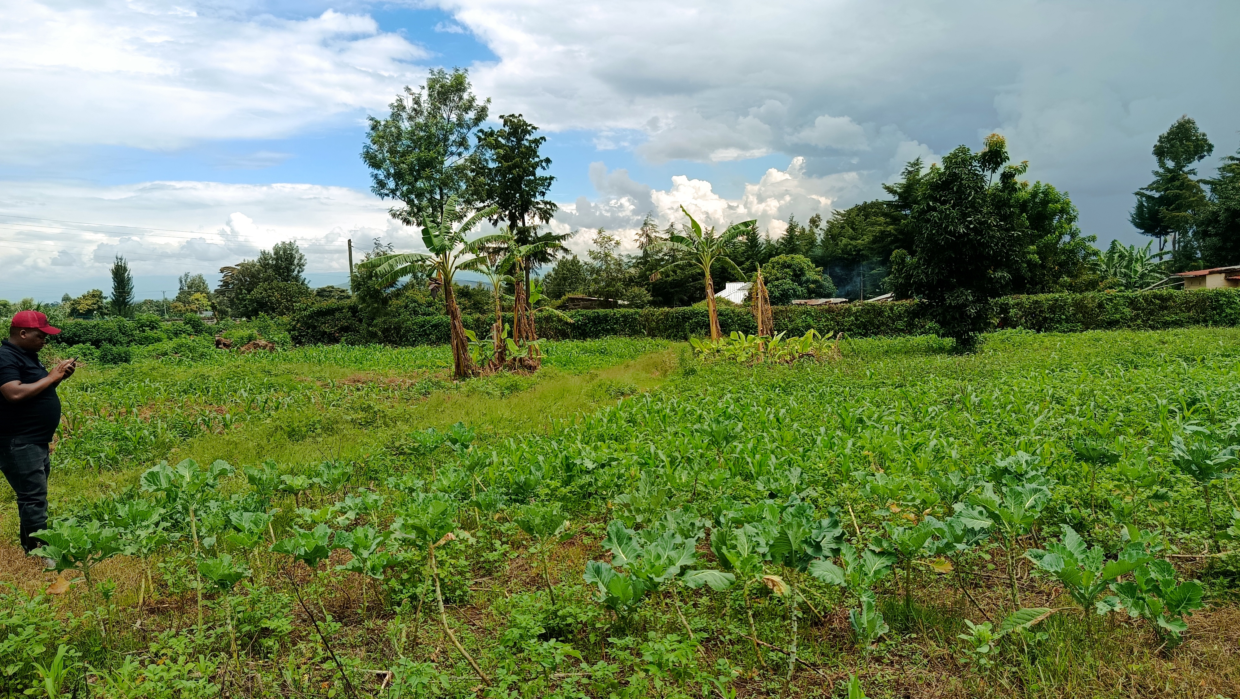 Plots for sale at muguathi near anestar schools