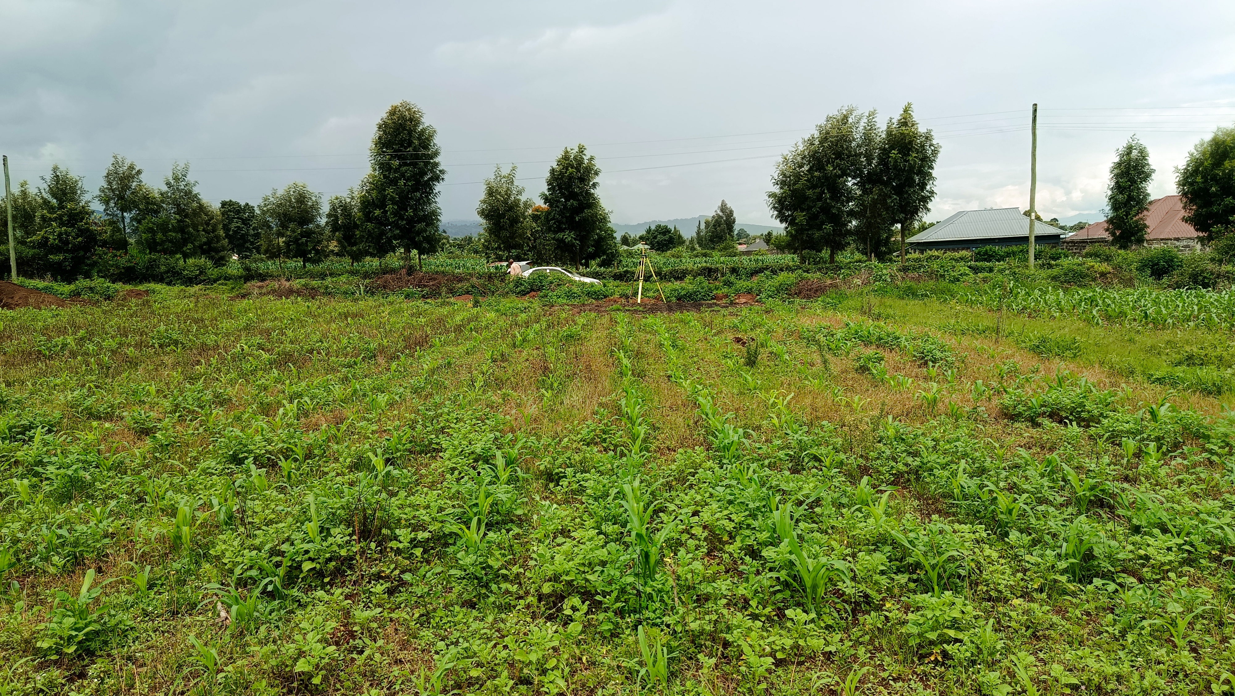 Plots for sale at muguathi near anestar schools