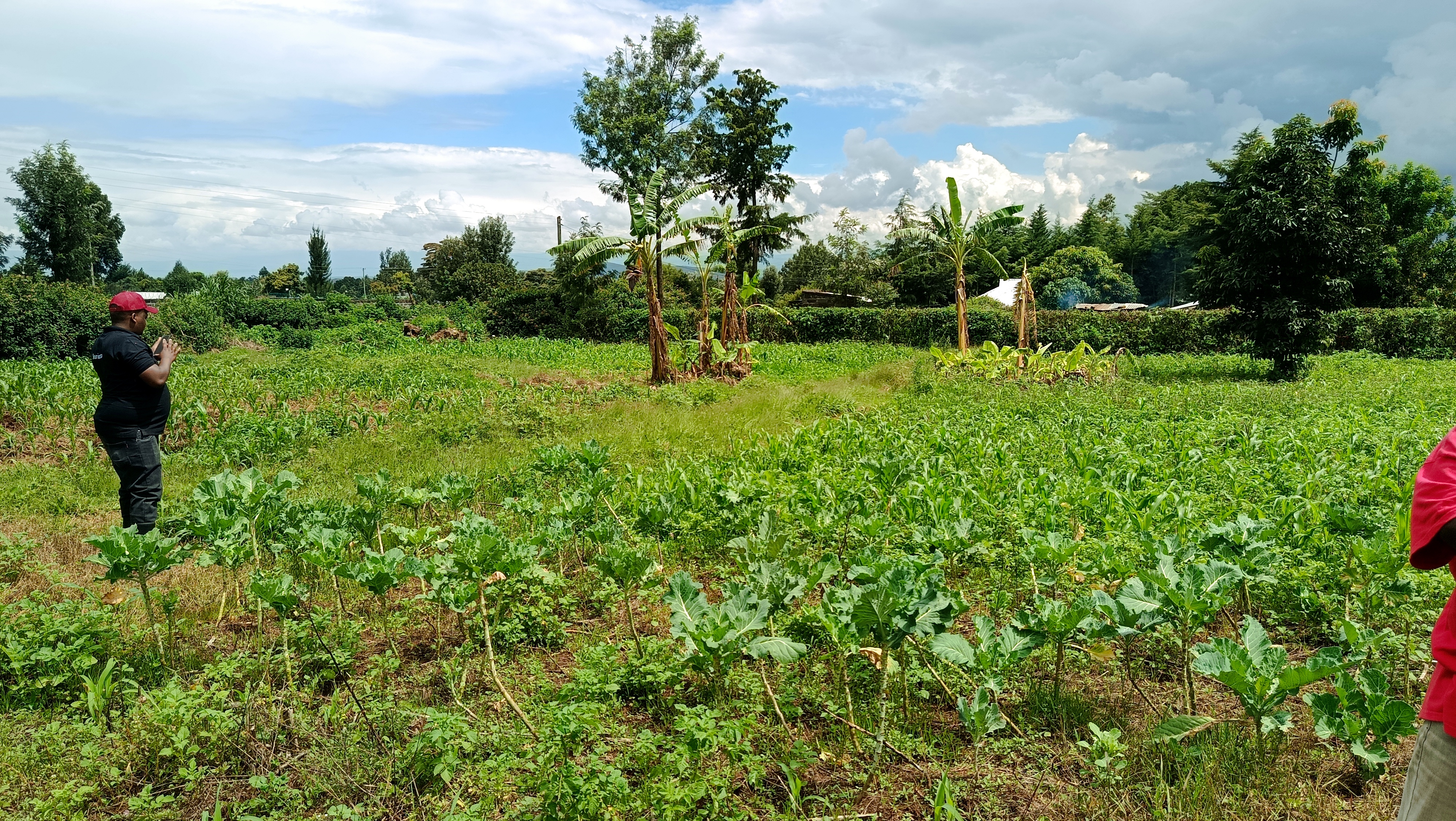 Plots for sale at muguathi near anestar schools