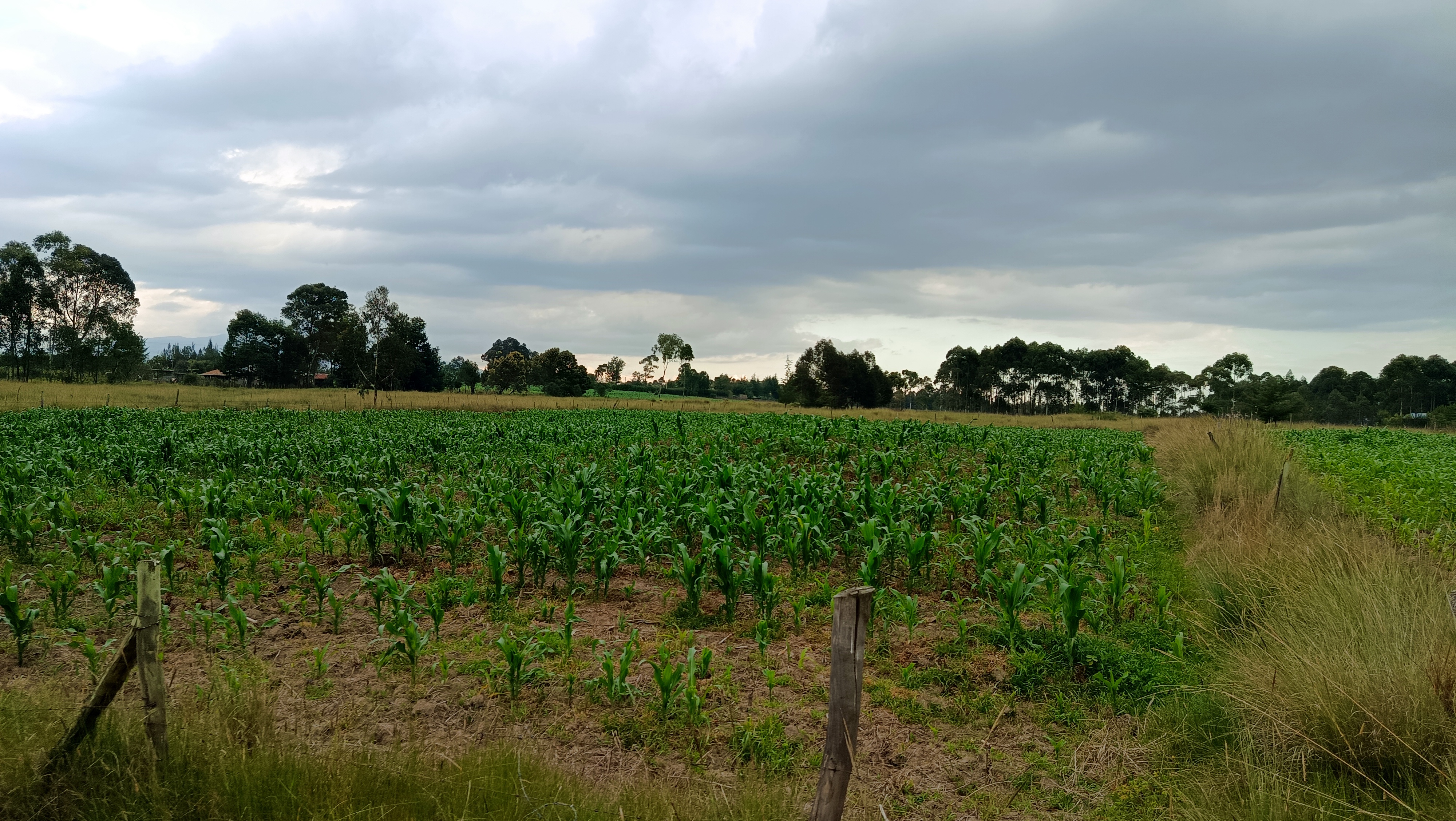 1 acre behind loma homes